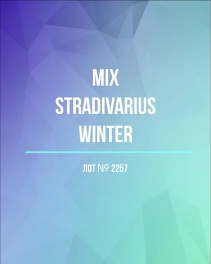Купить STRADIVARIUS Winter mix#15 кг, ЛОТ №2257 оптом в Майкопе и Адыгее