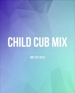 Купить CUBUS детский микс лето (Children CUBUS mix)#15 кг, ЛОТ №2515 оптом в Майкопе и Адыгее