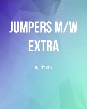 Купить Джемпер муж+жен экстра#15 кг , Лот№2612 оптом в Майкопе и Адыгее