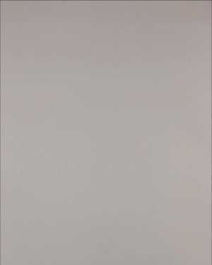 Фотография  272 - Нижнее белье Bon Prix дети#50 шт, ЛОТ №3242 оптом в Майкопе и Адыгее