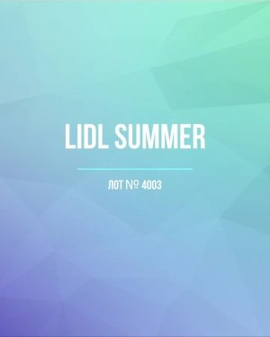 Купить LIDL Summer#20 кг, ЛОТ №4003 оптом в Майкопе и Адыгее