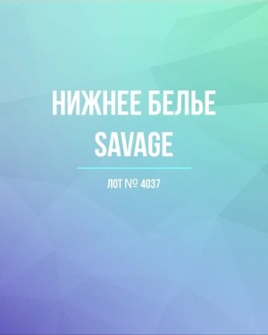 Купить Нижнее белье Savage, 50 шт, ЛОТ №4037 оптом в Майкопе и Адыгее