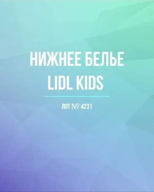 Купить Нижнее белье LIDL Kids#5 кг, ЛОТ №4231 оптом в Майкопе и Адыгее