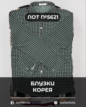 Купить Блузки Корея#20 шт, ЛОТ №5621 оптом в Майкопе и Адыгее