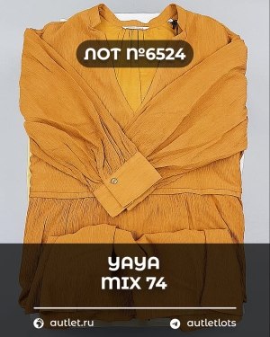 Купить YA YA 062024#39 шт, ЛОТ №6524 оптом в Майкопе и Адыгее