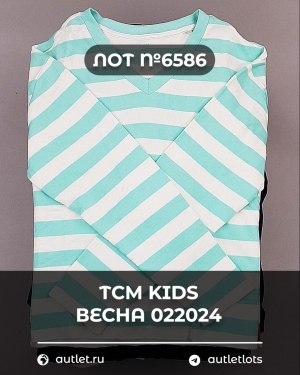 Купить TCM Kids весна 022024#7 кг, ЛОТ №6586 оптом в Майкопе и Адыгее