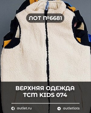 Купить Верхняя одежда TCM kids 074#7 кг, ЛОТ №6681 оптом в Майкопе и Адыгее