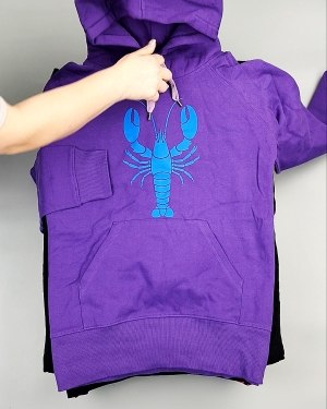 Фотография  347 - Толстовки м/ж (Sweat Tops)#20 кг, ЛОТ №7431 оптом в Майкопе и Адыгее