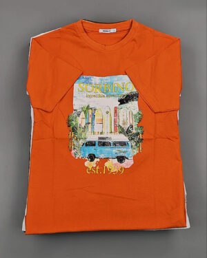 Купить Футболки мужские C-3141 (MEN T-shirt Sorbino) #4,8 кг оптом в Майкопе и Адыгее